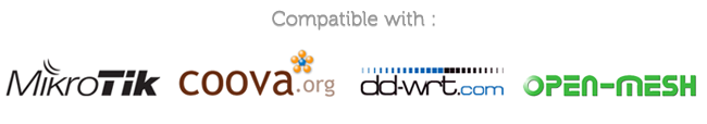 AAA radius server